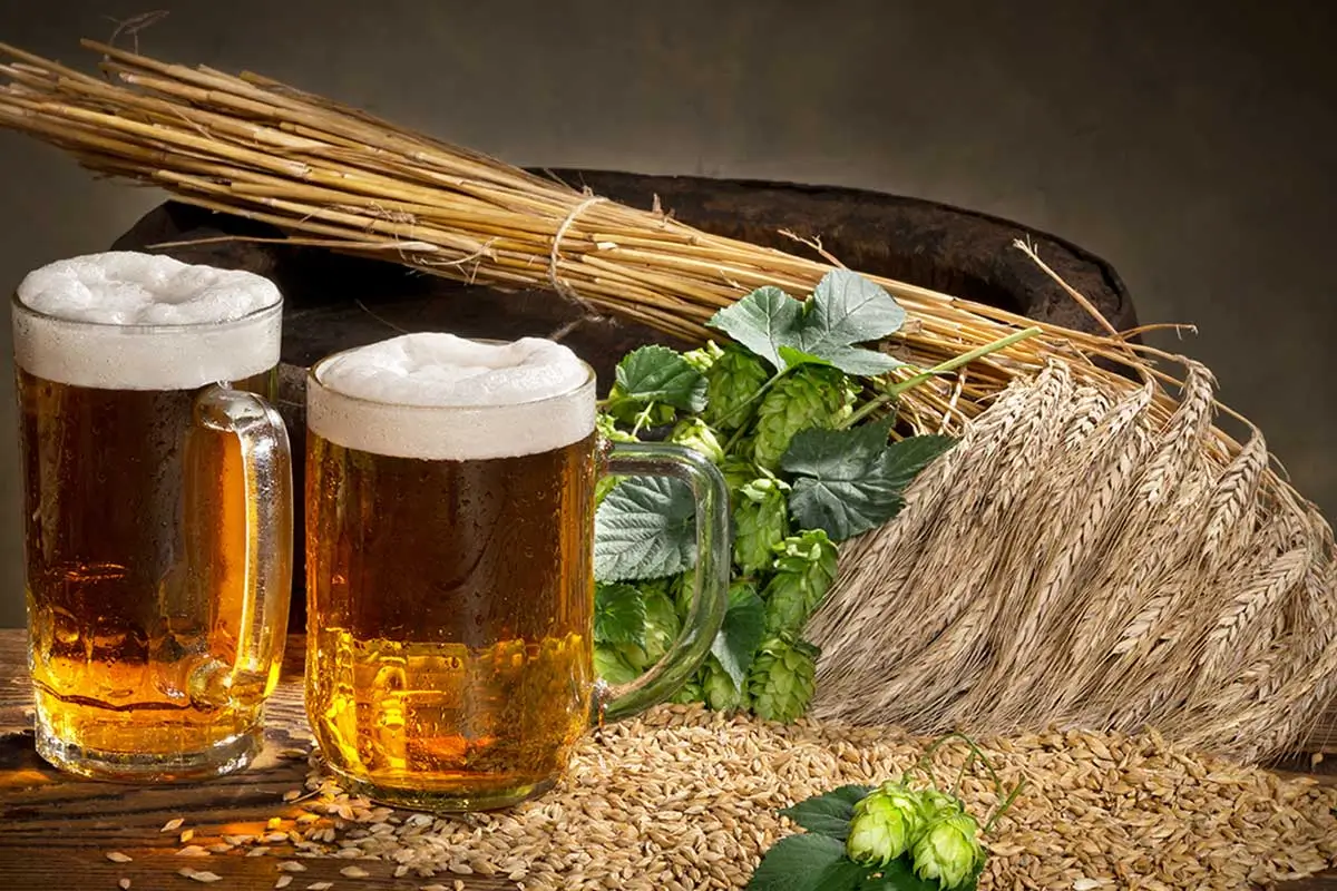 Os 4 ingredientes básicos da cerveja