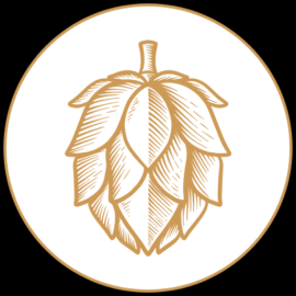 Dúvidas comuns sobre cerveja artesanal para iniciantes. Use máscara comum, touca, avental, luvas... Evite contaminação.